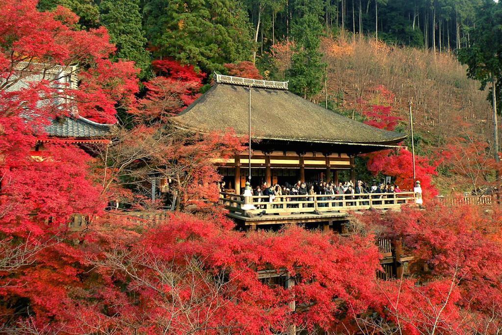 Rin Kyoto Kinkaku-Ji Temple Villa Екстериор снимка