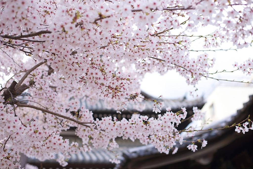 Rin Kyoto Kinkaku-Ji Temple Villa Екстериор снимка